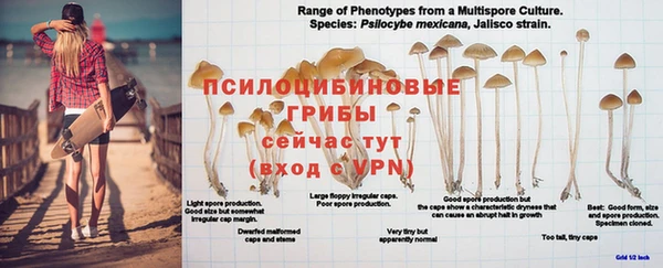 MDMA Premium VHQ Волосово